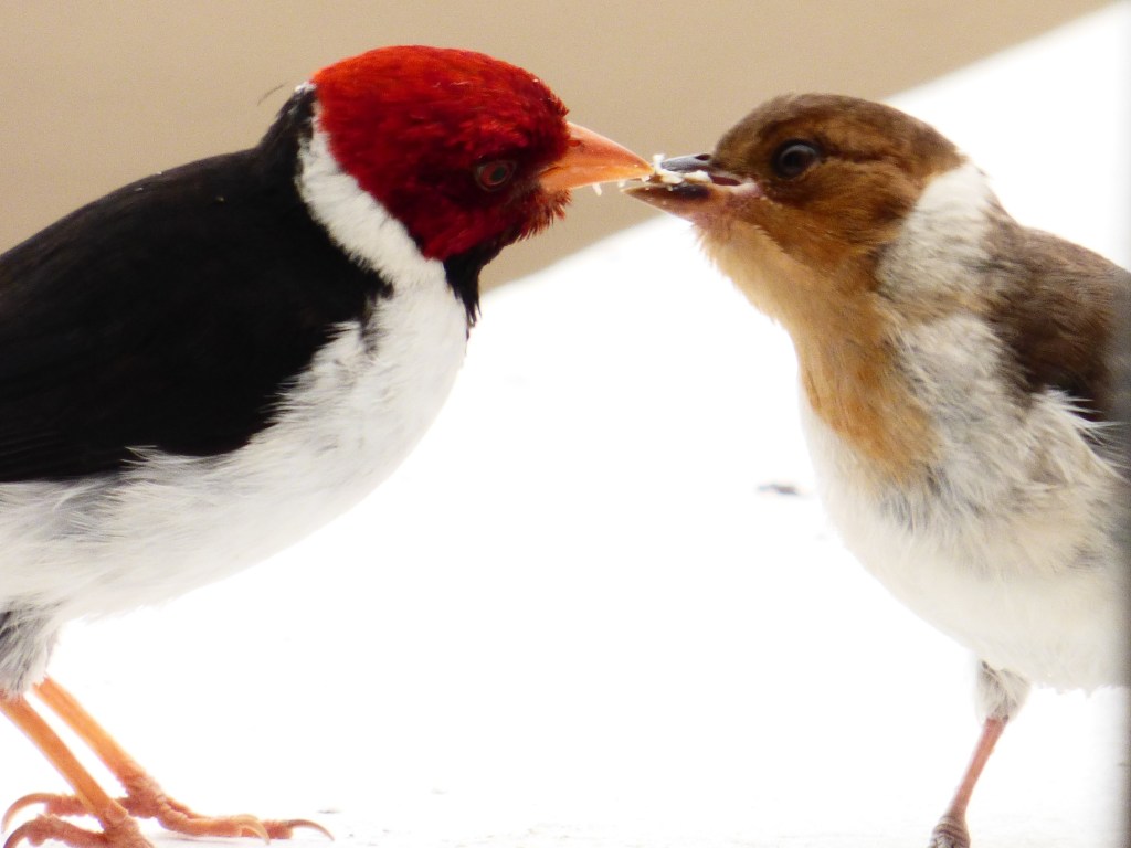 This image has an empty alt attribute; its file name is baby-feeding-2-1.jpg